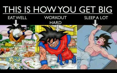 How to be successful and healthy - Visit now for 3D Dragon Ball Z shirts now on sale! Saiyan Workout, Dbz Quotes, Bodyweight Workout Routine, Bodybuilding Memes, Jeff Seid, Dbz Memes, David Laid, Sleeping A Lot, Gym Memes