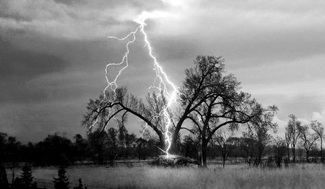 In 1899 a bolt of lightning killed a man as he stood in his backyard in Taranto, Italy. Thirty years later his son was killed in the same way and in the same place. On October 8, 1949, Rolla Primarda, the grandson of the first victim and the son of the second, became the third. I Love Thunderstorms, Thunder Strike, Lightning Tattoo, Struck By Lightning, Smell Of Rain, There Are No Words, Tree Tattoo Designs, Fire Tattoo, Thunder And Lightning