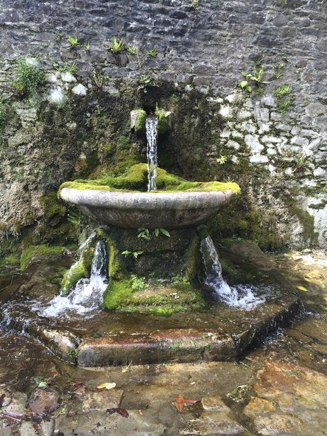 Fairy Fountain Aesthetic, Overgrown Fountain, Cottage Fountain, Medieval Fountain, Lismore Castle, Magic Fountain, Castle Ireland, Small Fountains, Water Walls