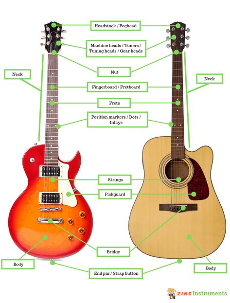 Anatomy Of A Guitar, Acoustic Guitar Anatomy, Guitar Parts Name, Anatomy Guide, Basic Guitar Strumming Patterns, Guitar Anatomy, Guitar Knowledge, Popular Piano Sheet Music, Acoustic Guitar Parts