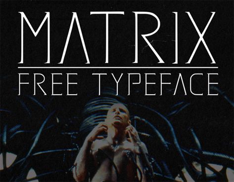 Matrix Free Font Pull Quotes, Free Typeface, Fonts For Designers, Latin Language, Business Fonts, Stylish Text, Word Mark Logo, Font Graphic, Web Design Projects