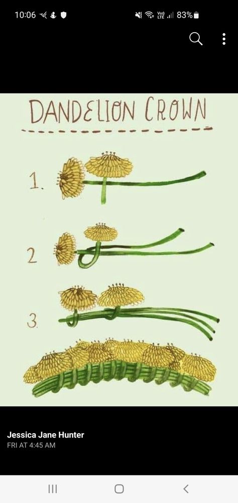 Dandelion Crown, Flower Crown Tutorial, Crown Images, Dandelion Flower, Nature Crafts, Free Hd Wallpapers, Medicinal Herbs, Baby Crafts, Craft Work