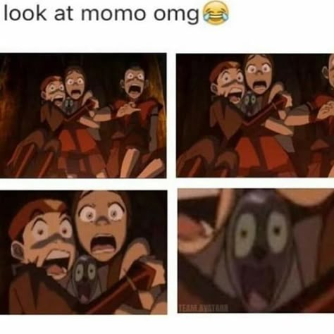 poor momo Atla Aang, Atla Memes, Yip Yip, Avatar The Last Airbender Funny, Avatar Funny, Avatar Series, Korra Avatar, The Last Avatar, Avatar The Last Airbender Art