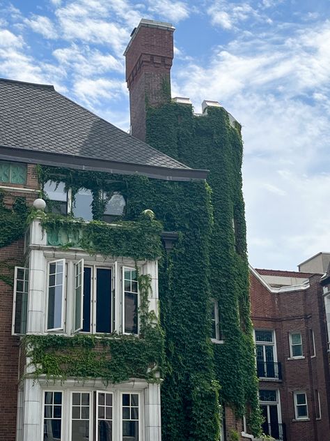 Brick House With Vines, House With Vines, Pretty Windows, Library Project, Art Final, Liberal Arts College, Building Aesthetic, Ivy Vine, Sketchbook Inspo