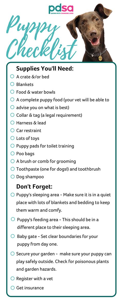 Taking Care Of Puppy, Puppies Week By Week, How To Prepare For A Dog, Dog Checklist New, What You Need For A New Puppy, Getting A Puppy Checklist, Getting A Dog Checklist, What You Need For A Puppy, What To Get For A New Puppy