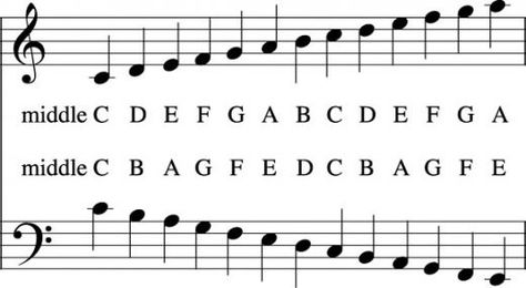 Diagrams and easy to follow text that will help musicians learn to read music whether as a singer or instrumentalist. Free Beginner Piano Sheet Music Printables, How To Read Notes, Learn To Read Music, Music Theory Piano, Piano Songs For Beginners, Beginner Piano Music, Piano Music Easy, Reading Sheet Music, Piano Lessons For Beginners