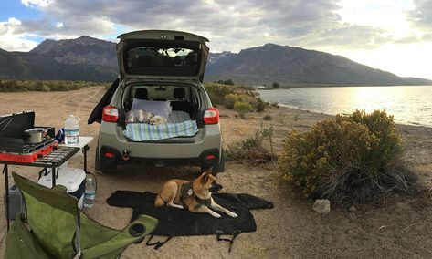 Crosstrek Camping, Subaru Outback Offroad, Luxury Toyota, Porsche Supercar, Camper Van Life, Car Bmw, Van Life Diy, Mini Camper, Subaru Cars