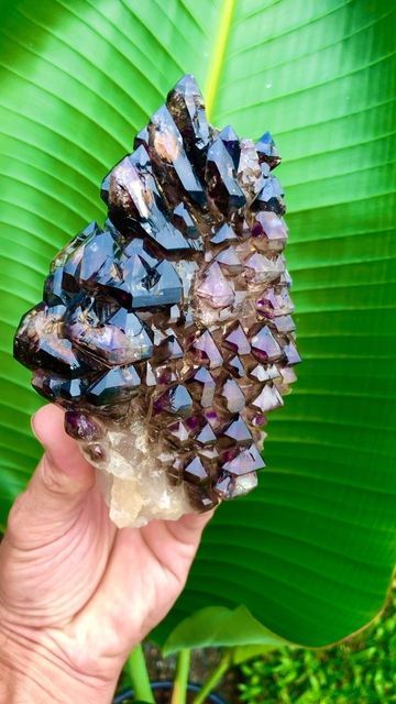 Patrick Gundersen on Instagram: "Majestic! 😍 Elestial Smoky/Amethyst, Harts Range, Northern Territory, Australia. Special moments digging with @entia_jewellery and @wild_frontier_crystals 💎💫 Personal collection NFS #crystals #crystalsofinstagram #amethyst #australia #nature #quartzcrystal #geology #natureza #smokyquartz #crystallove #ausgeo #natgeo #cristais #science #naturelovers" Australia Nature, Northern Territory Australia, Healing Vibes, Crystals For Sale, Northern Territory, Natural Stone Jewelry, Energy Stones, Tiger Eye Stone, Rose Quartz Crystal