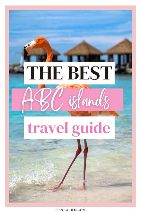 Text says THE BEST ABC ISLANDS TRAVEL GUIDE. FLAMINGO IN THE ABC ISLANDS. Abc Islands Cruise, Caribbean Travel Outfit, Abc Islands, Aruba Travel, Phrase Tattoos, Tiktok Marketing, Best All Inclusive Resorts, Cruise Excursions, The Abc