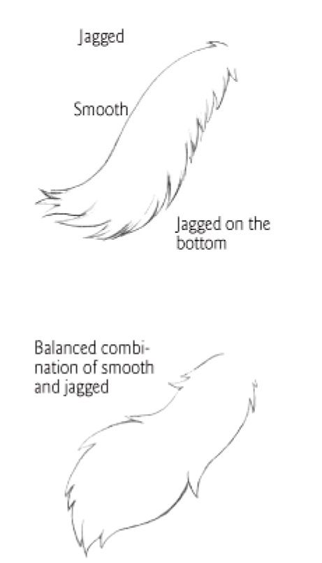 Tail types 2 Wolf Tail, Cat Drawing Tutorial, Animal Tails, Warrior Cat Drawings, Wolf Drawing, Cat Eyes, Warrior Cat, Animal Sketches, Anime Drawings Tutorials