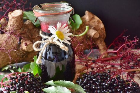 Community Cooks: Learn to make immune-boosting gummies Elderberry Benefits, Elderberry Wine, Elderberry Tea, Elderberry Syrup Recipe, Homemade Elderberry, Elderberry Syrup, Cold Remedies, Eat Well, Holistic Wellness