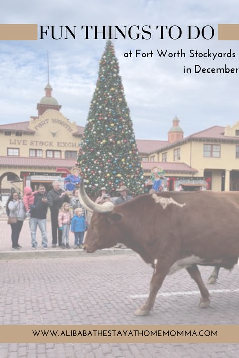 Holidays Activities, Fort Worth Stockyards, Texas Christmas, Texas Vacations, Waco Texas, The Fort, Fort Worth Texas, Holiday Activities, Fort Worth