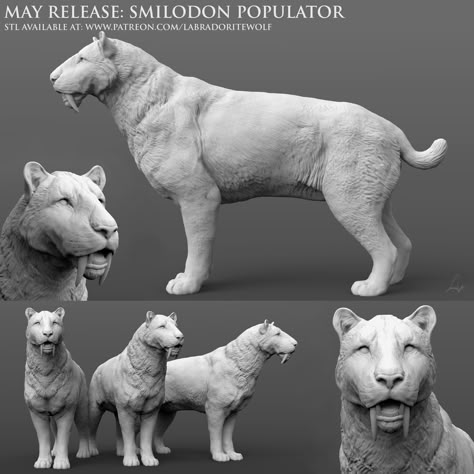 Saber Toothed Tiger, Wild Shape, 3d Print Design, Extinct Species, Prehistoric Wildlife, Tiger Pictures, Pathfinder Rpg, Dark Blood, Extinct Animals