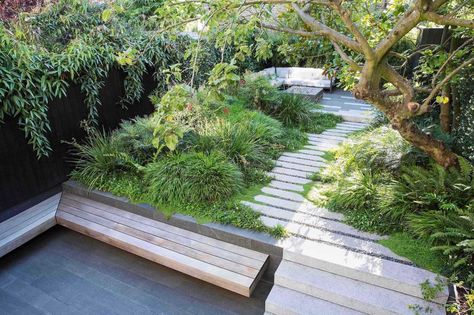 Modern Japanese Garden, Small Japanese Garden, Japanese Style Garden, Shade Tolerant Plants, Tattoo Plant, Small Courtyard Gardens, Japanese Garden Design, Sloped Garden, London Garden