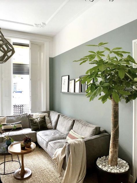 Dark Green Rooms, Green Walls Living Room, Dark Green Living Room, Pretty Living Room, Light Green Walls, Light Gray Sofas, Bold Living Room, Grey Sofa Living Room, Earthy Living Room