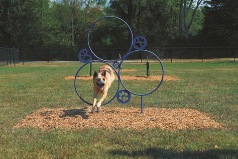 Dog Park Equipment, Dog Park Ideas, Dog Play Area, Dog Agility Equipment, Dog Backyard, Dog Agility Course, Dog Water Fountain, Agility Training For Dogs, Doggie Daycare