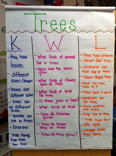 We started a new Science unit on Trees!  Ms. Arboe had us help her make a KWL Chart.  We started our KWL chart by listing things we already... Kwl Chart For Trees, Teaching Strategies Tree Study, Preschool Tree Study Activities, Preschool Tree Theme, Prek Tree Study, Trees Theme Preschool, Creative Curriculum Tree Study Preschool, Preschool Tree Study, Tree Study Creative Curriculum