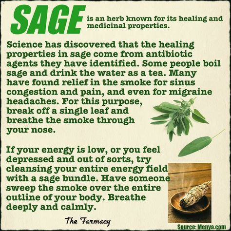 i have never tried sage smoke to alleviate sinus congestion. i will have to look into this a bit more. Benefits Of Sage, Sage Benefits, Smudging Prayer, Magickal Herbs, Sage Smudging, Herbs And Plants, Magic Herbs, Magical Herbs, Herbs Plants