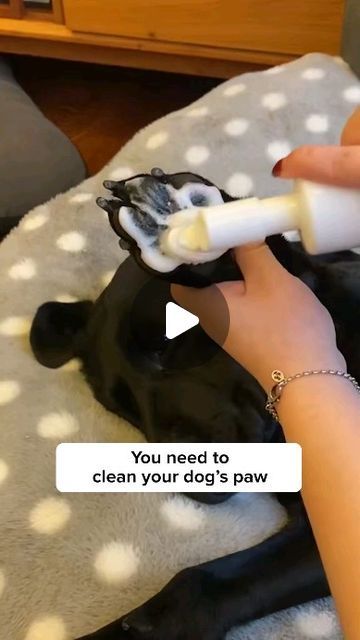 Howlsyourday on Instagram: "🐕LINK IN BIO🐕 Get this Waterless Dog Paw Cleaner to keep your dog's paw clean and healthy! 🥰" Cleaning Dog Paws, Dog Paw Cleaner, Pets Accessories, Paw Cleaner, Instagram Link, Pet Paws, Cat Stuff, Universal Design, Dog Paw