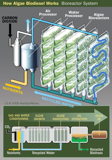 Biomass Energy, Richard Feynman, Vertical Farming, Aquaponics System, Energy Projects, Diy Solar, Hydroponic Gardening, Sustainable Energy, Free Energy