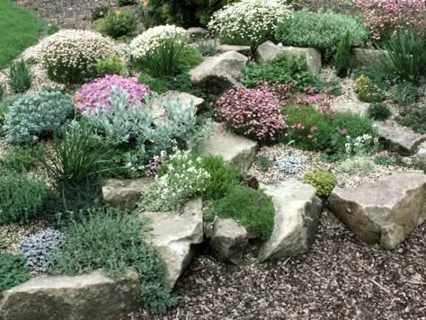 Garden Landscaping Design Ideas, Rockery Garden, Funny Vine, Provence Garden, Alpine Garden, Rock Garden Plants, Rock Garden Design, Rock Garden Landscaping, Garden Types