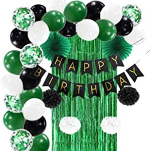 Black Birthday Decorations For Men, Mint Green Birthday Decorations, Green Birthday Decorations, Black Birthday Decorations, Mint Green Birthday, Fringe Curtain Backdrop, Foil Fringe Curtain, Paper Fan Decorations, Curtain Backdrop