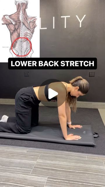 MOVABILITY on Instagram: "🚨LOWER BACK STRETCH🚨 - 🧠 The thoracolumbar fascia (TLF) is a complex, multi-layered connective tissue spanning the lower back, linking the thoracic spine to the lumbar region and extending to the sacrum and pelvis. It integrates with muscles like the latissimus dorsi, erector spinae, and abdominal muscles, forming a structural support network for the trunk and lower body. The TLF aids in movement, stabilization, and force distribution, playing a critical role in actions like bending and twisting.  📚 Its mechanical support maintains back integrity, while its connection with various muscles facilitates body movements and helps stabilize the spine and pelvis. This fascial system also protects underlying tissues and contributes to proprioceptive feedback, essentia How To Strengthen Lower Back Muscles, Lumbar Spine Mobility Exercises, Lumbar Exercises Lower Backs, Thoracolumbar Fascia, Lumbar Exercises, Lower Back Stretch, Fascia Stretching, Erector Spinae, Lumbar Disc