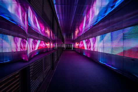 the pixels crossing: sensory tunnel by miguel chevalier - designboom | architecture Sensory Tunnel, Games Design, Rose Photo, Interactive Installation, Light Sculpture, French Designer, Design Magazine, Grid Design, Digital Signage