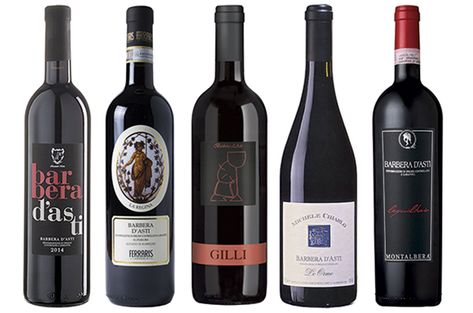 best Barbera d'Asti wines Barbera Wine, Wine Subscription, Expensive Wine, Wine Gift Baskets, Wine Gift Boxes, Wine Bottle Opener, Wine Tour, Wine Cooler, Wine And Spirits