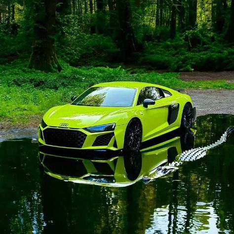 R8 Audi, Audi R8 Gt, R8 Gt, Moto Wallpapers, Fastest Car, Luxury Cars Audi, Cars Aesthetic, Car Tattoos, Bugatti Chiron