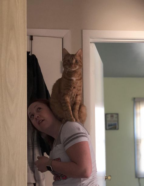 My cat pikachu standing on my fiancés shoulder. Cat On Shoulder Drawing, Cat On Shoulder, Cat Poses, Cat Stands, Cat Pose, Sitting Poses, Silly Cats, Pose References, Pretty Cats