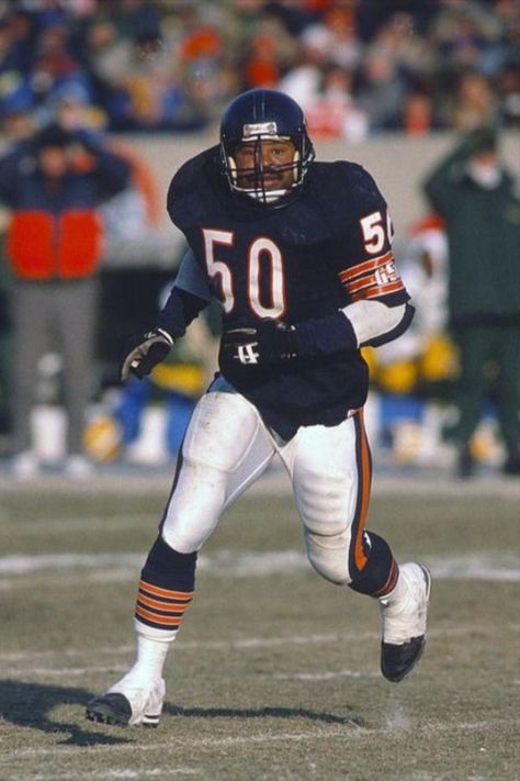 1985 Chicago Bears, Chicago Bears Pictures, Mike Singletary, Nfl Hall Of Fame, Nfl Highlights, Nfl Football Pictures, Nfl Football Art, Sports Pics, Chicago Bears Football