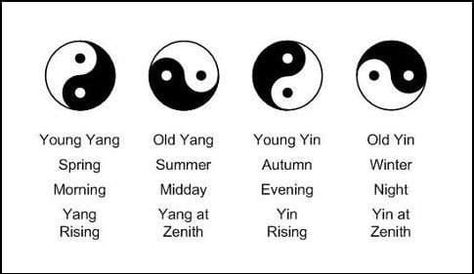 Chinese symbolisms Ying Yang Ying Yang Tattoo Meaning, Yin Yang Aesthetic Art, Tattoos Ying Yang Ideas, Ying Yang Art Tattoo, Yin Yang Art Tattoo, Cool Ying Yang Tattoo, Ying Yang Tattoo Back, In Yang Tattoo, Ying Yang Back Tattoo