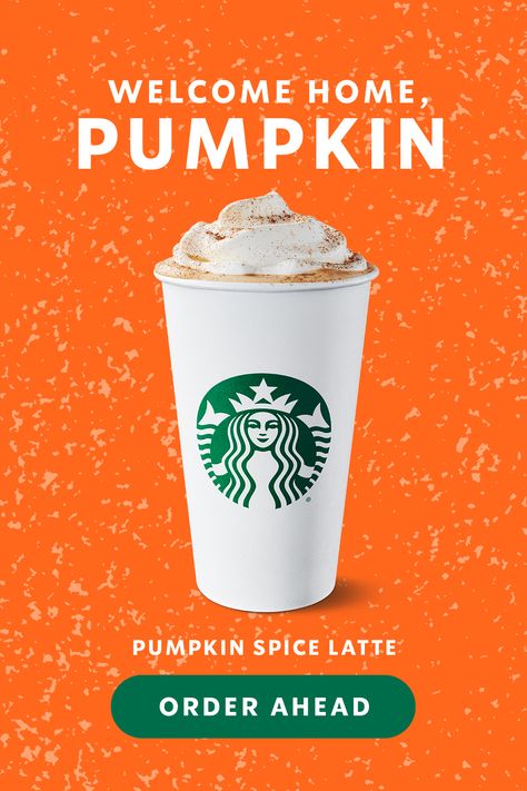 Sip your way into Fall with cozy pumpkin spice flavours. Order ahead on the app. Pumpkin Drinks, Sugar Free Jello, Food Medicine, Email Template Design, Starbucks Pumpkin, Fun Deserts, Best Smoothie Recipes, Diy Perfume, Pumpkin Spice Season