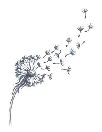 Dandelion Tattoo Design, Dandelion Drawing, Tattoos Infinity, Realistic Temporary Tattoos, Dandelion Tattoo, Tattoo Templates, Tattoo Now, Cool Pencil Drawings, Constellation Tattoos