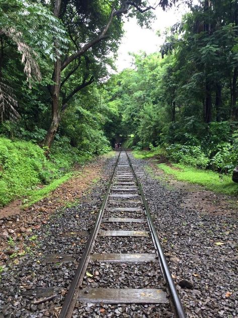 Sanjay Gandhi National Park, Mumbai Meri Jaan, List Of Birds, Park Aesthetic, Jain Temple, Forest And Wildlife, Where Am I, National Park Photos, Instagram My Story