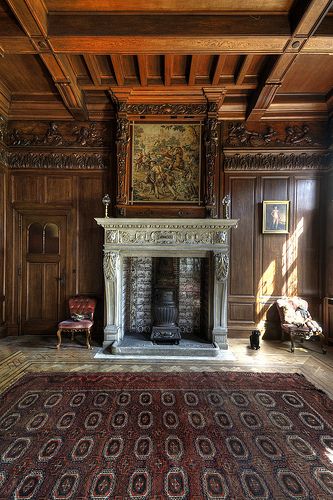 Old Mansions Interior, English Mansion, Scottish Decor, Castle Interiors, Gothic Novels, Inspector Calls, Old Abandoned Buildings, Shutter Island, Beautiful Villa