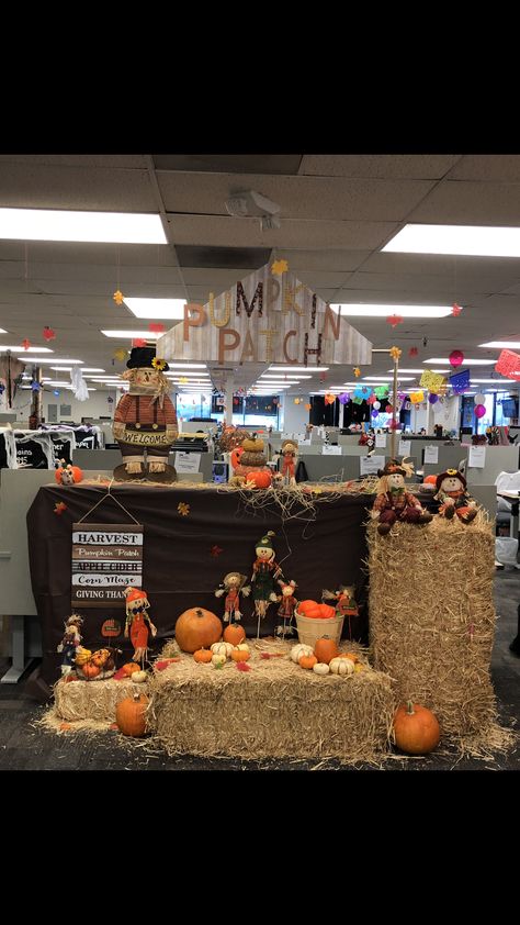 Pumpkin Patch Theme #officedecor Reception Desk Halloween Decorations, Pumpkin Patch Decorating Ideas Classroom, Pumpkin Patch Office Decorations, Office Pumpkin Patch Decor, Pumpkin Patch Decorating Ideas Indoor, Pumpkin Patch Decorating Ideas, Fall Office Decorations Desks, Indoor Pumpkin Patch, Fall Cubicle Decor