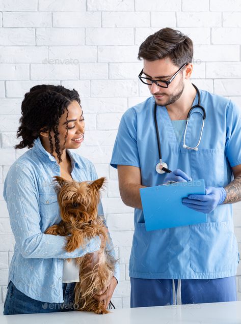 African American lady with cute dog on visit to veterinarian doctor at clinic by Prostock-studio. African American lady with little dog on visit to veterinarian doctor at clinic #Sponsored #cute, #dog, #lady, #African Veterinarian Doctor, World Rabies Day, Dog Doctor, American Lady, Dog Lady, Veterinary Medicine, Little Dogs, Pet Grooming, American Women