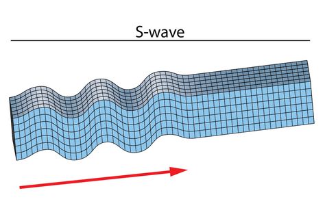 Researchers are making waves in an unlikely place: the human body. The reason? To detect and diagnose diseases. Mechanical Wave, S Wave, Making Waves, The Human Body, Lesson Plans, Disease, Medicine, Human Body, Science