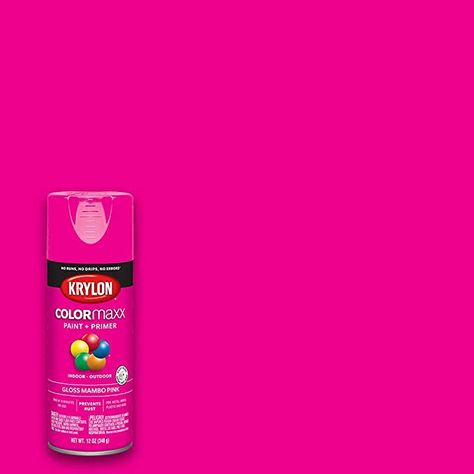 Krylon K05528007 COLORmaxx Spray Paint, Aerosol, Mambo Pink - - Amazon.com Hot Pink Wall Paint, Portland Apartment, Barbie Pool, Pink Spray Paint, Pink Painted Walls, Hot Pink Walls, Pink Paint Colors, Neon Paint, Spray Paint Colors