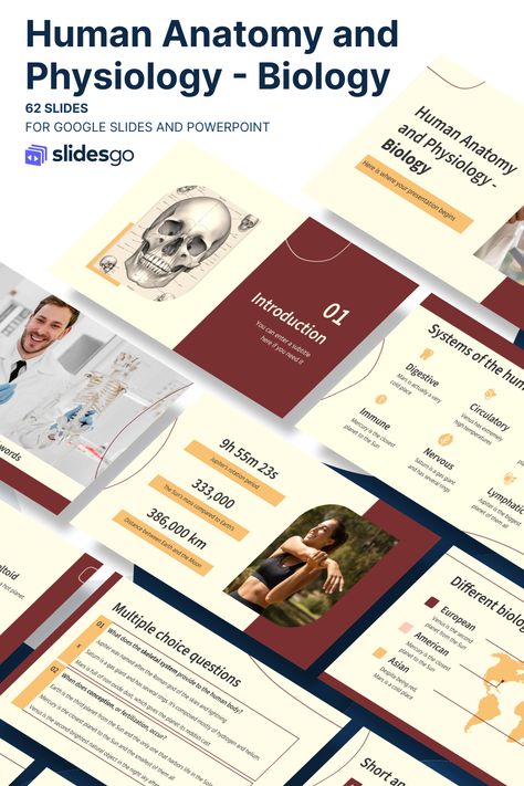 Human Anatomy and Physiology - Biology - 9th Grade Biology Presentation Template, Biology Ppt Template, Biology Presentation, Biology Powerpoint, The Human Anatomy, School Biology, Class Presentation, Powerpoint Slide Designs, Google Slides Presentation