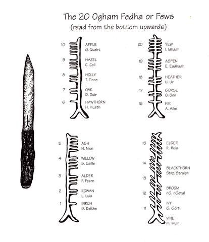 Ogham Staves, Tree Ogham, Tree Alphabet, Ogham Alphabet, Irish Heart, Wiccan Tattoos, Inca Tattoo, Ancient Scripts, American Indian Tattoos