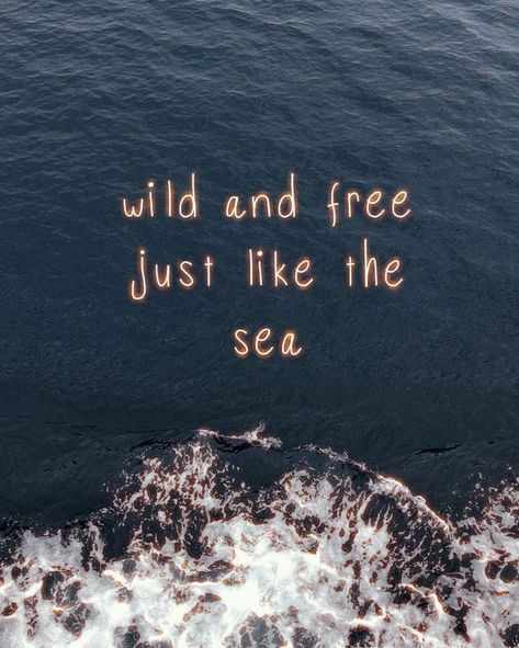 ✨ wild and free Wild Girl Quotes, Wild And Free Aesthetic, Wild And Free Quotes, Wild Quotes, Young Wild Free, Free Spirit Quotes, Spirit Quotes, Wild Girl, Free Soul