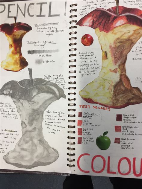 Gcse Experimentation Sketchbook Ideas, Sketch Book Studies, Sketch Layout Design, Gcse Art Observational Drawings Sketchbook Pages, Still Life Gcse Sketchbook, Gcse Art Sketchbook Development, Gcse Art Inspiration Page, Artist Pages Gcse Art, Decay Art Sketchbook