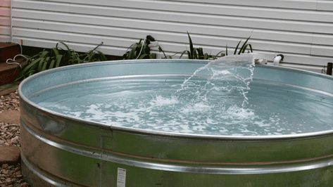 Diy Stock Tank Pool, Oasis Garden, Diy Stock Tank, Stock Tank Pool Diy, Stock Tank Pool, Tank Pool, Chicken Garden, Fairy Garden Designs, Stock Tank