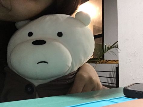 Ice Bear Plushie, Ice Bear Pfp, Bear Pfp, Student Council Campaign Posters, Student Council Campaign, Snow Bear, Baby Bears, Ice Bear, Bear Pillow