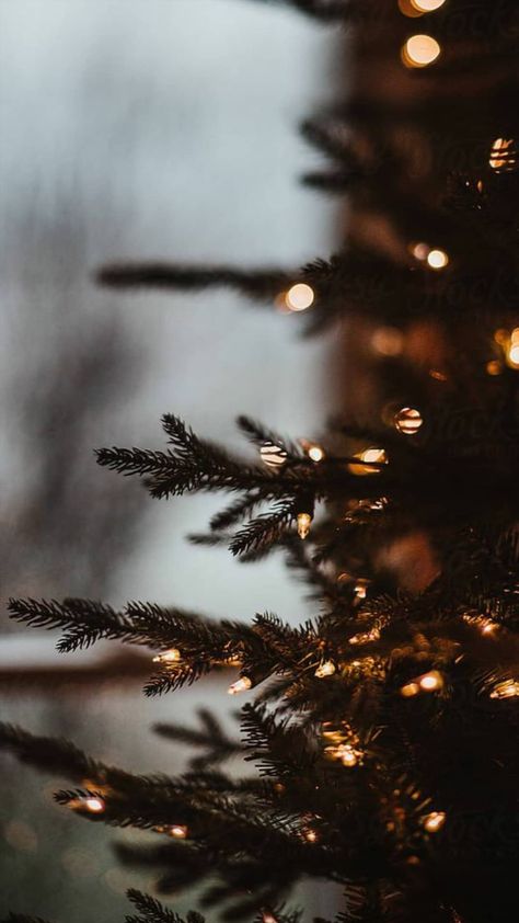 Christmas Aesthetic Wallpaper Iphone, Christmas Instagram Pictures, Christmas Tumblr, Christmas Lights Wallpaper, Picture Tree, Aesthetic Wallpaper Iphone, Christmas Wallpaper Backgrounds, Christmas Aesthetic Wallpaper, Wallpaper Iphone Wallpaper