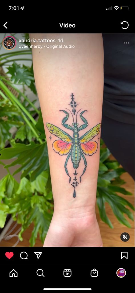 Traditional Mantis Tattoo, Colorful Insect Tattoo, Color Bug Tattoo, Bug Tattoo Color, Orchid Mantis Drawing, Stick Bug Tattoo, Praying Mantis Tattoo Traditional, Orchid Mantis Tattoo, Traditional Bug Tattoo