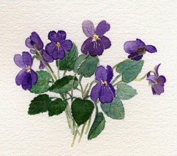 Violet Flower Watercolor, Watercolor Violets, Watercolor Violet, Ako Kresliť, Violet Watercolor, Flowers Watercolour, Watercolor Sketch, Watercolor Techniques, Watercolor Cards